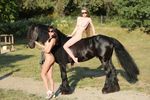 Fun With a Horse-o3nfd9vwpd.jpg